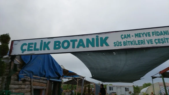Çelik Botanik Peyzaj & Fidancılık Çelik Botanik Peyzaj & Fidancılık