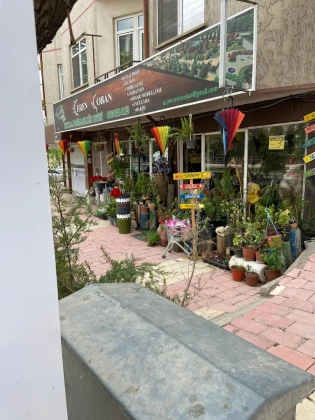 Ceren Peyzaj Ve Çiçekçilik Ceren Peyzaj Ve Çiçekçilik