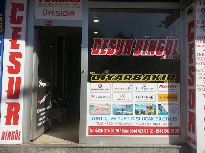 Cesur Bingöl Cesur Bingöl