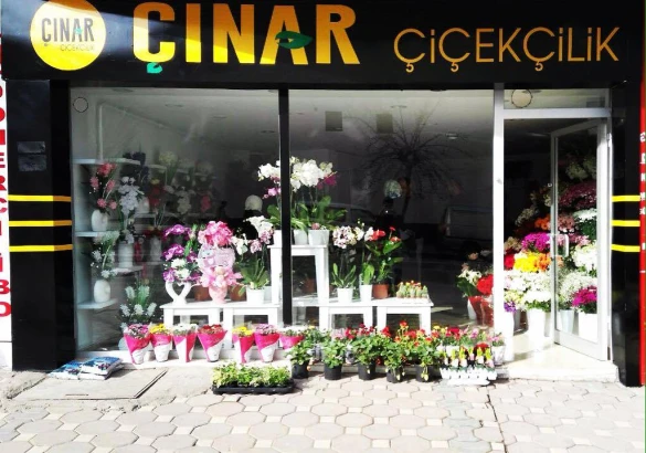 Çınar Çiçekçilik Çınar Çiçekçilik