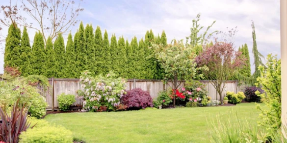 Çizgi Peyzaj-Mezar Bakım Kırşehir