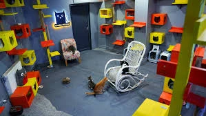 Çizmeli Kedi Petshop & Kedi Oteli - Kedi Pansiyonu Çizmeli Kedi Petshop & Kedi Oteli - Kedi Pansiyonu