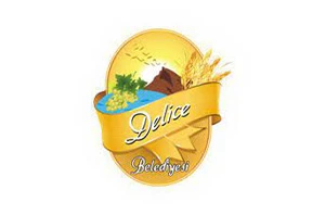 Delice Belediyesi Delice Belediyesi
