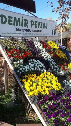 Demir Peyzaj Niğde Demir Peyzaj Niğde
