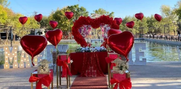 Diyarbakır Organizatör21