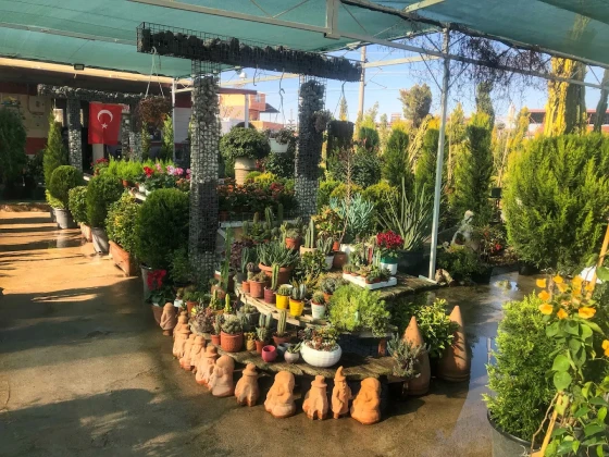 Doğa Peyzaj Osmaniye Doğa Peyzaj Osmaniye
