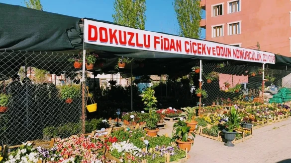 Dokuzlu Çiçek Ve Meyve Fidanı Satış Serası Dokuzlu Çiçek Ve Meyve Fidanı Satış Serası