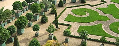 Dr. Mor Salkım Peyzaj Çiçekçilik