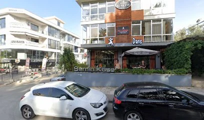 Dr. Vildan Tekelioğlu, Akupunktur Dr. Vildan Tekelioğlu, Akupunktur