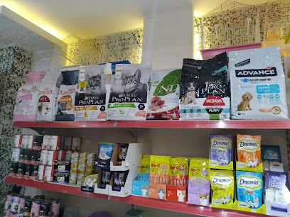 Düşler Petshop Düşler Petshop