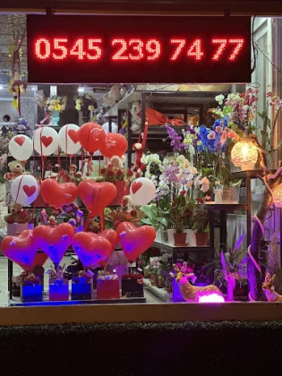 Edirne Belinay Çiçekçilik Edirne Belinay Çiçekçilik