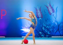 Edirne Ritmik Cimnastik Spor Kulübü Edirne Ritmik Cimnastik Spor Kulübü