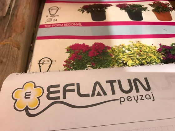 Eflatun Peyzaj Eflatun Peyzaj
