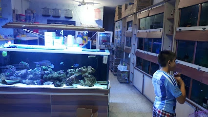 Ekin Pet Shop Ekin Pet Shop