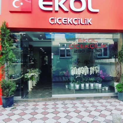 Ekol Çiçekçilik Samsun Ekol Çiçekçilik Samsun