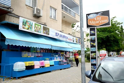 Elif Akvaryum Pet Shop Elif Akvaryum Pet Shop
