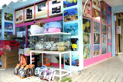 Elif Akvaryum Pet Shop Elif Akvaryum Pet Shop