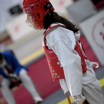 Ergün Spor Klübü Ergün Spor Klübü