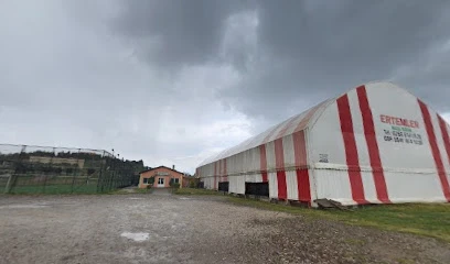 Ertemler Halı Saha Ertemler Halı Saha