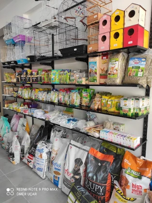 Evcil Dostum Petshop Evcil Dostum Petshop