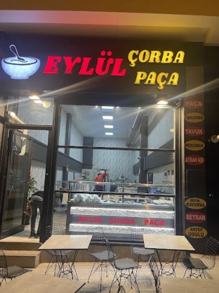 Eylül Corba Paca Eylül Corba Paca