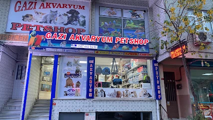 Gazi Akvaryum Pet Shop Gazi Akvaryum Pet Shop