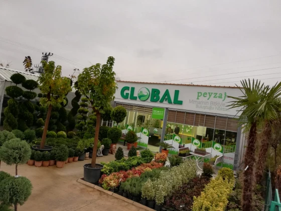 Global Peyzaj Global Peyzaj