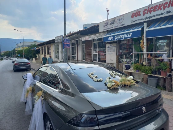 Gül Çiçekçilik Gül Çiçekçilik