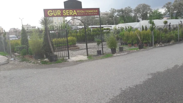Gür Sera Peyzaj Fidanlık Gür Sera Peyzaj Fidanlık