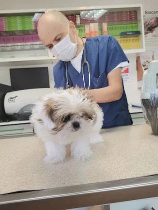 Hoşdere Veteriner Kliniği Hoşdere Veteriner Kliniği