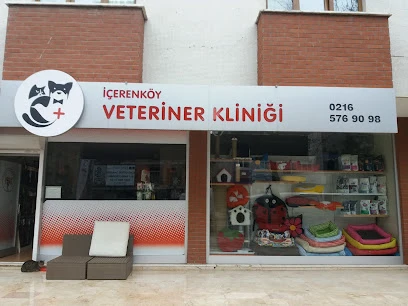 İçerenköy Veteriner Polikliniği İçerenköy Veteriner Polikliniği