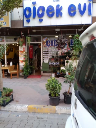Iğdır Çiçek Evi Iğdır Çiçek Evi