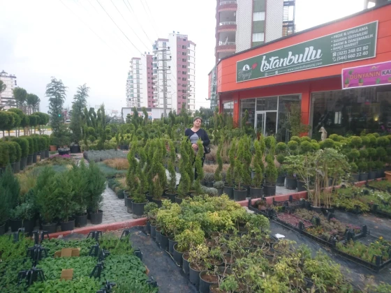 İstanbullu Peyzaj İstanbullu Peyzaj