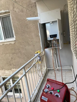 Kaplan Petek Temizleme Ve Kilima Bakimi