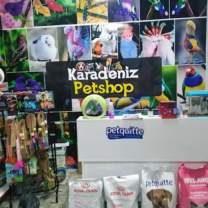 Karadeniz Petshop Kocaeli Karadeniz Petshop Kocaeli