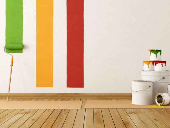 Kastamonu Alçı Dekorasyon Boyacı