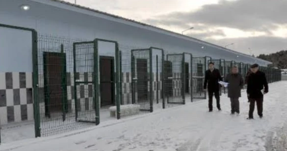 Kastamonu Belediyesi Geçici Hayvan Bakımevi