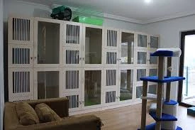 Kastamonu Empati Veteriner Kliniği Ve Evcil Hayvan Pansiyonu Kastamonu Empati Veteriner Kliniği Ve Evcil Hayvan Pansiyonu