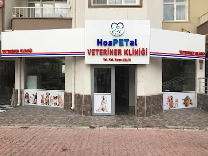 Kayseri Hospetal Veteriner Kliniği Kayseri Hospetal Veteriner Kliniği