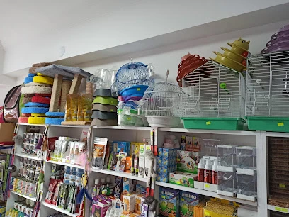 Kedicim Petshop Kedicim Petshop