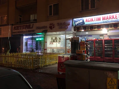 Kılıçarslan Veteriner Kliniği