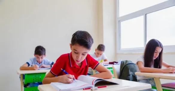 Koala Eğitim Koçluğu Ve Özel Ders Bürosu