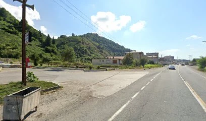 Koyuncular Uluslararası Nakliyat Koyuncular Uluslararası Nakliyat