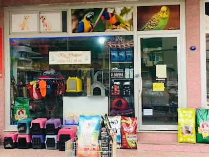 Kuş Dünyası Pet Shop Kuş Dünyası Pet Shop