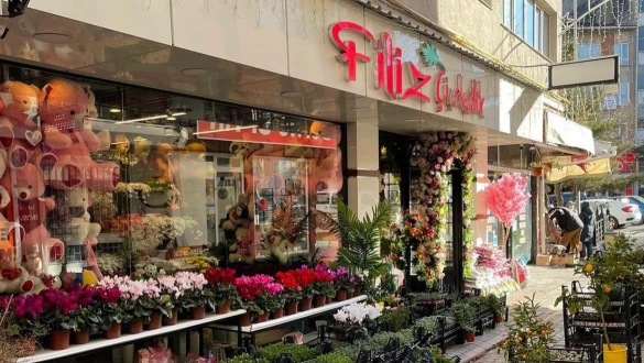 Kütahya Filiz Çiçek Kütahya Filiz Çiçek