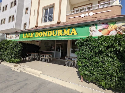 Lale 2 Dondurma profile