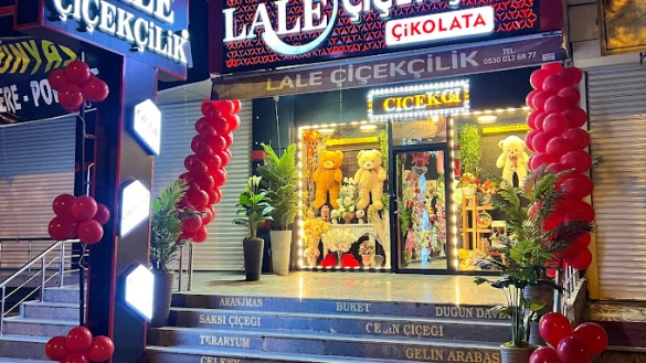 Lale Çiçekçilik Lale Çiçekçilik