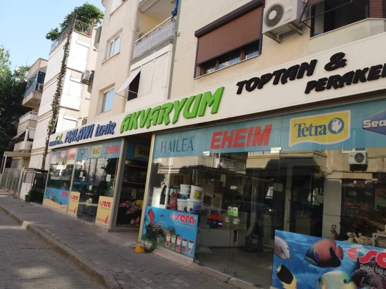 Malawi İzmir Akvaryum Ve Pet Ürünleri Malawi İzmir Akvaryum Ve Pet Ürünleri