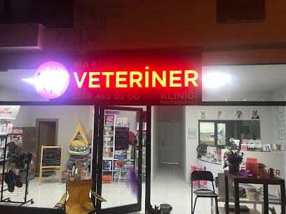 Mario Veteriner Kliniği Mario Veteriner Kliniği