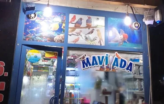 Mavi Ada Petshop